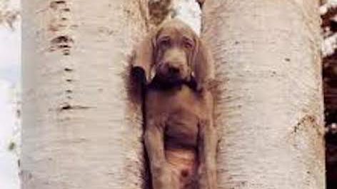 Why some people get stuck