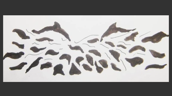 Parallel universes and spirituality