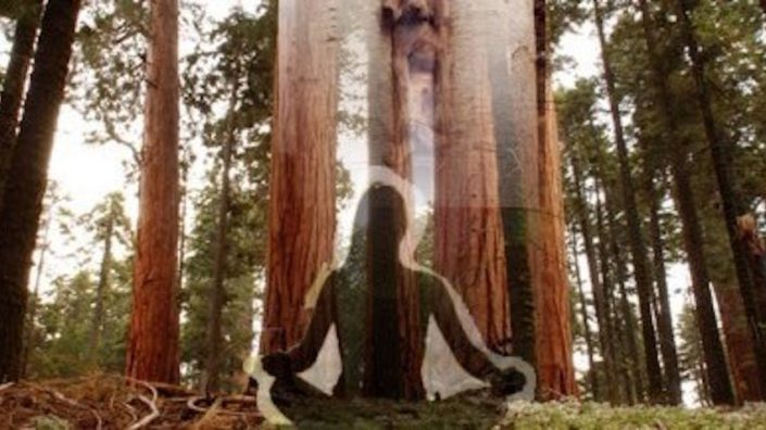 Amazing story about God