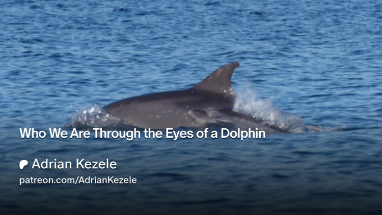 Who We Are Through the Eyes of a Dolphin