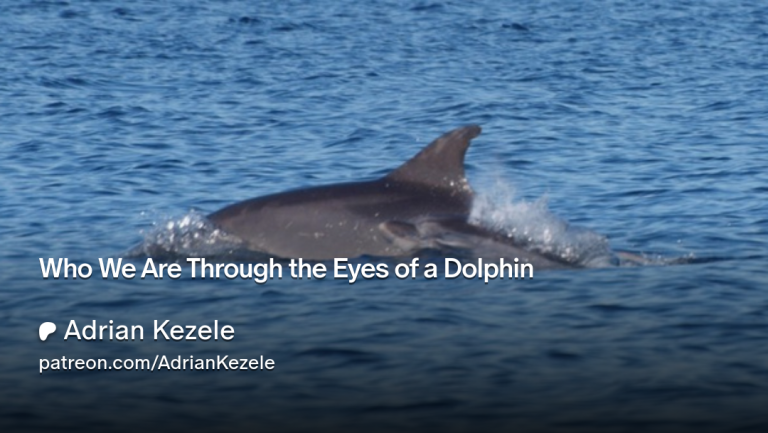 Who We Are Through the Eyes of a Dolphin