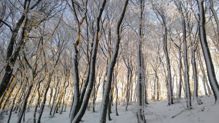 Winter solstice wish