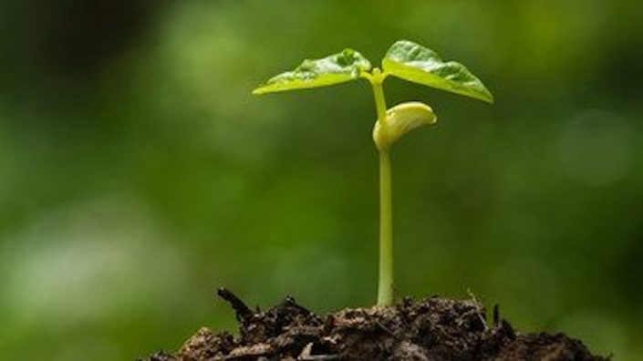 Poštenim radom do obilja?