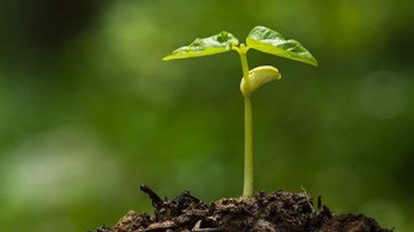 Poštenim radom do obilja?